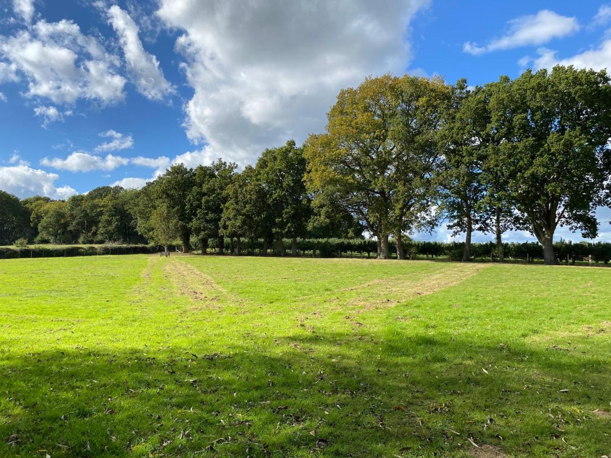 הוילה Staplehurst The Hop Barn מראה חיצוני תמונה